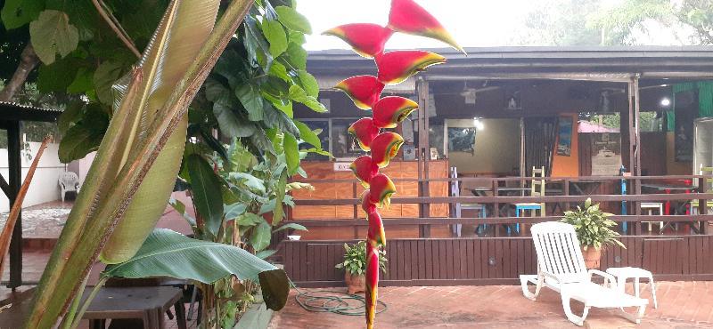 Residencial Noelia Hostel Puerto Iguazu Exterior photo